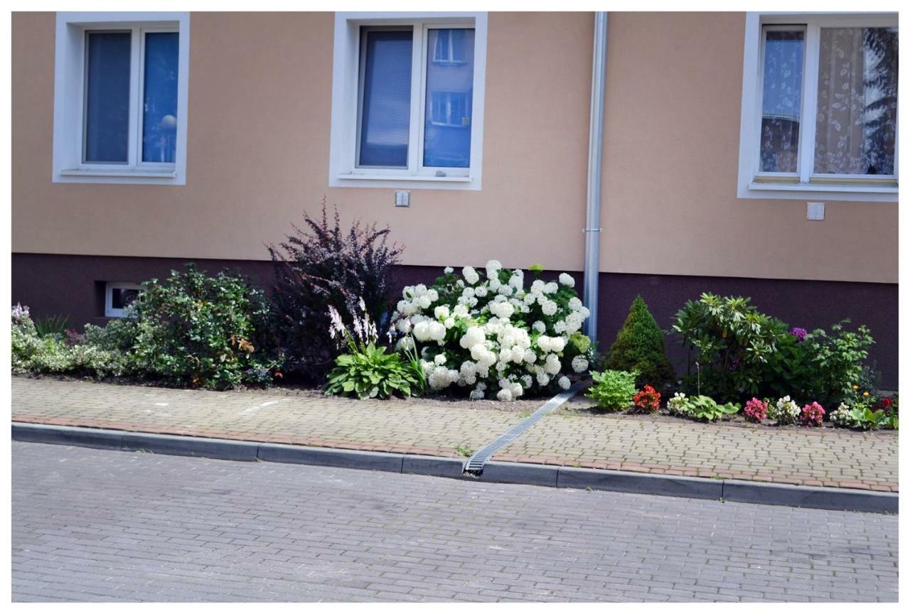 Color24 Apartament Stalowa Wola Luaran gambar